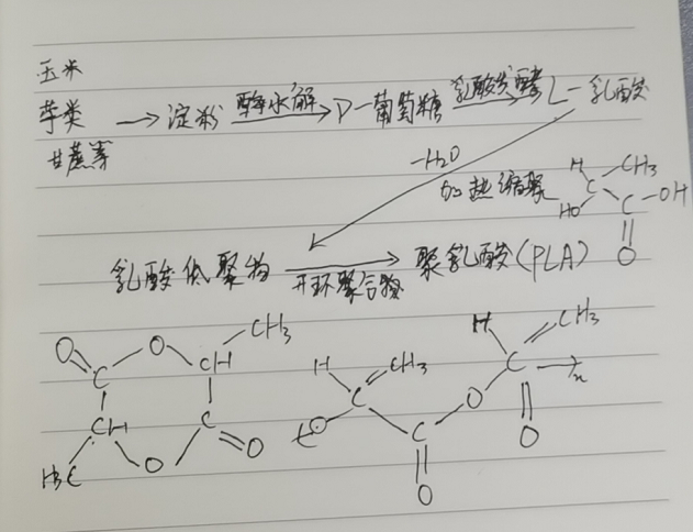 生物降解袋中的PLA是如何制得的？(圖2)