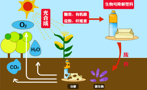 知名廠家帶你來看可降解包裝袋的市場優勢(圖1)